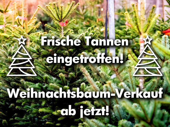 700_weihnachtsbaum-verkauf21-baumarkt-milz-ruelzheim