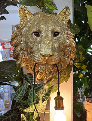 bb_2025-05-buddha-jungle-baumarkt-ruelzheim