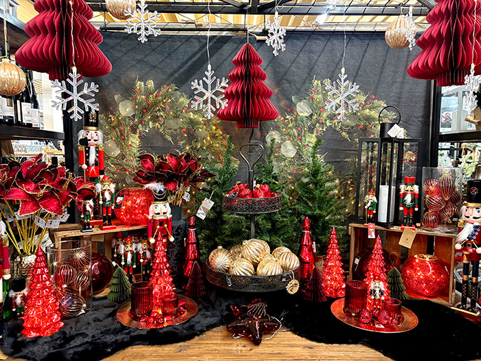 2025-10_xmas_IMG_7435